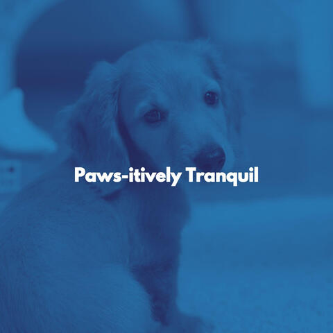 Paws-itively Tranquil