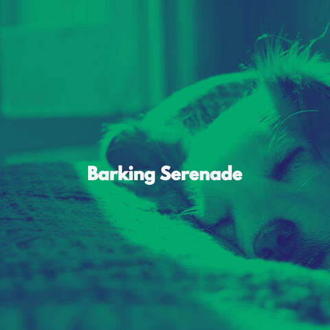 Barking Serenade