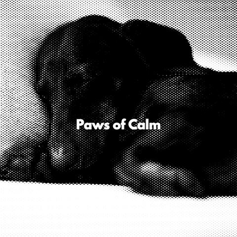 Paws of Calm