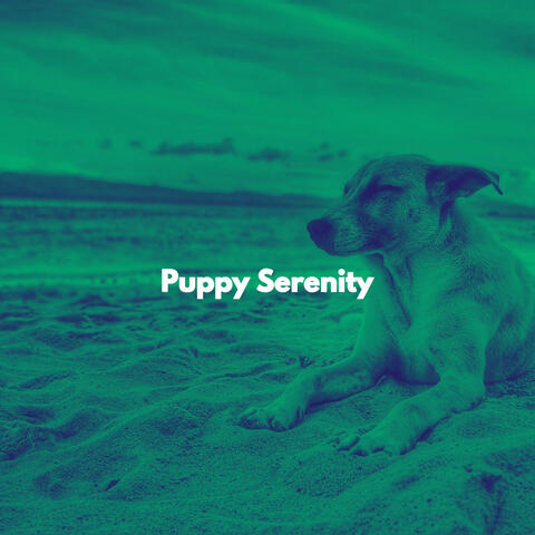 Puppy Serenity