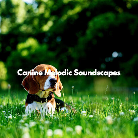 Canine Melodic Soundscapes