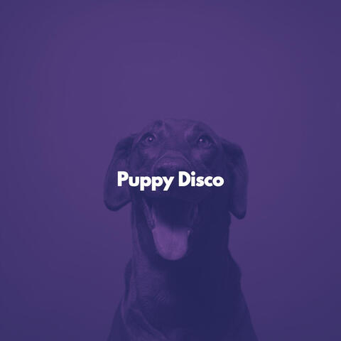 Puppy Disco