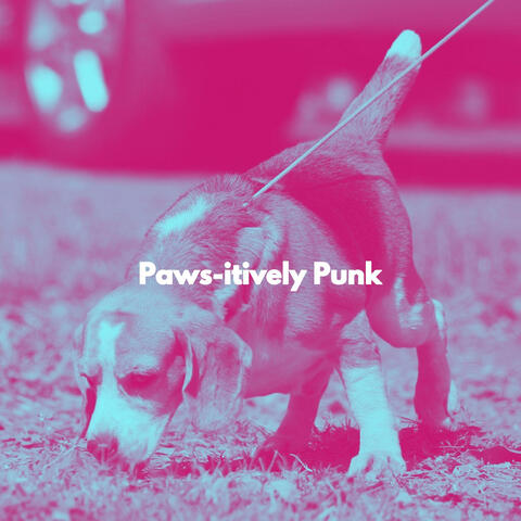 Paws-itively Punk