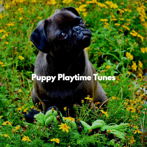 Puppy Playtime Tunes