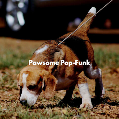 Pawsome Pop-Funk