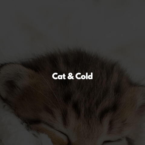 Cat & Cold