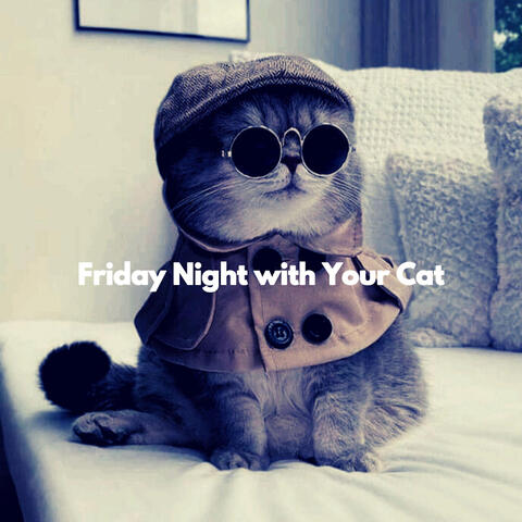 Friday Night with Your Cat