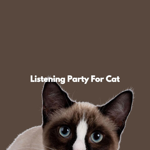 Listening Party For Cat