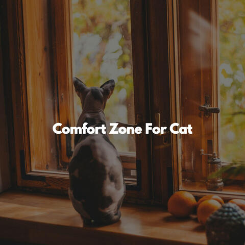 Comfort Zone For Cat