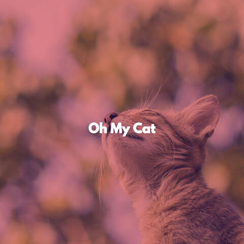 Oh My Cat