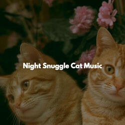 Cultivated Ambiance for Light Travels