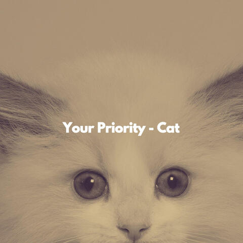 Your Priority - Cat