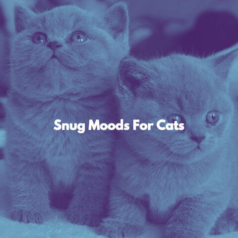Snug Moods For Cats
