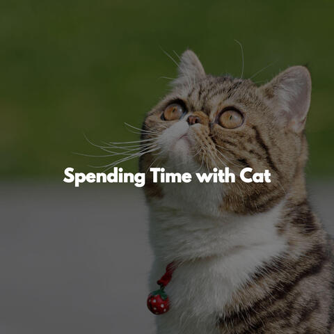 Spending Time with Cat