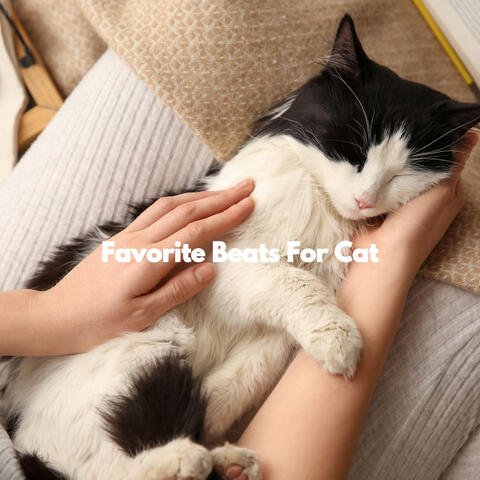 Favorite Beats For Cat