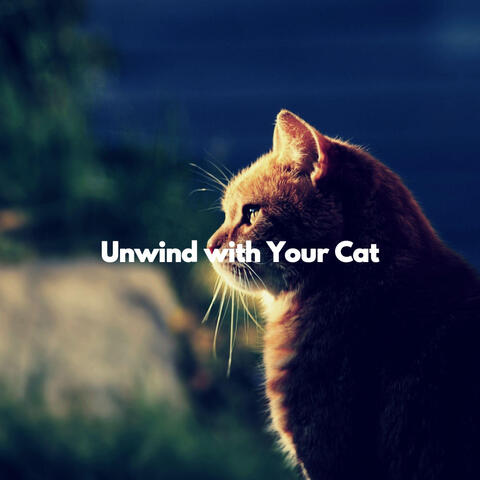 Unwind with Your Cat