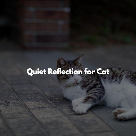 Quiet Reflection for Cat