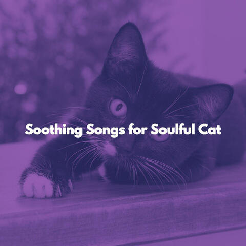 Soothing Songs for Soulful Cat