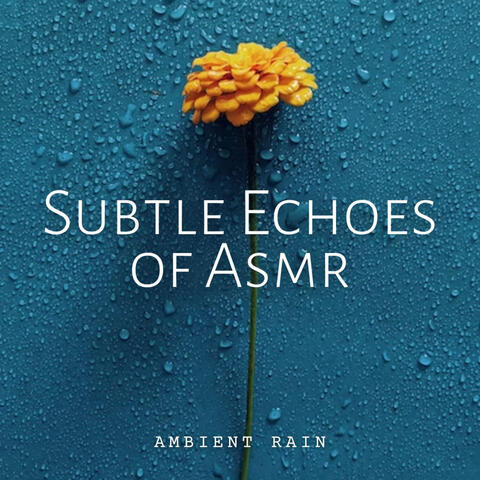 Ambient Rain: Subtle Echoes of Asmr