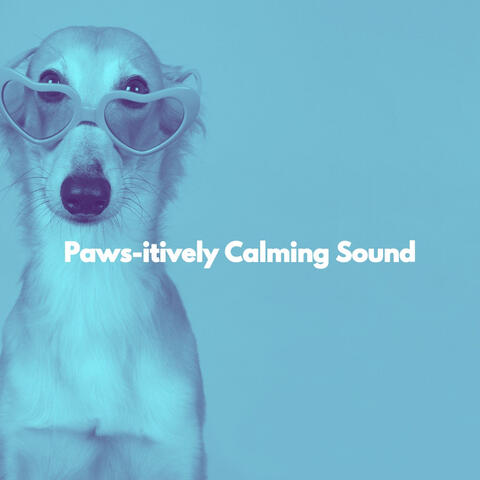 Paws-itively Calming Sound