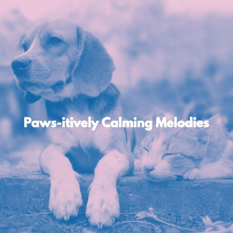 Paws-itively Calming Melodies