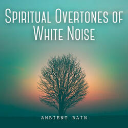 Particular Environment