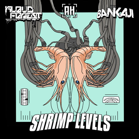 Shrimp Levels