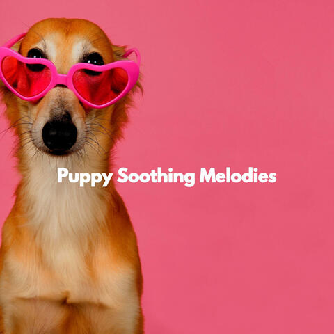 Puppy Soothing Melodies