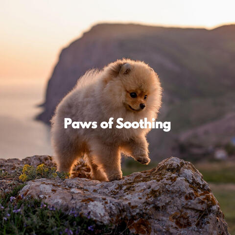Paws of Soothing