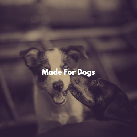 Made For Dogs