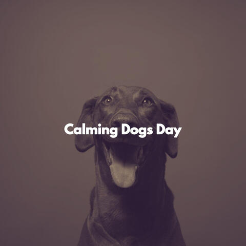 Calming Dogs Day