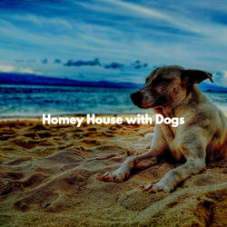 Sophisticated Fun Storms