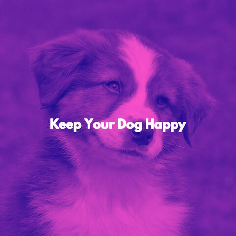 Keep Your Dog Happy