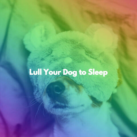 Lull Your Dog to Sleep