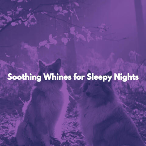 Soothing Whines for Sleepy Nights