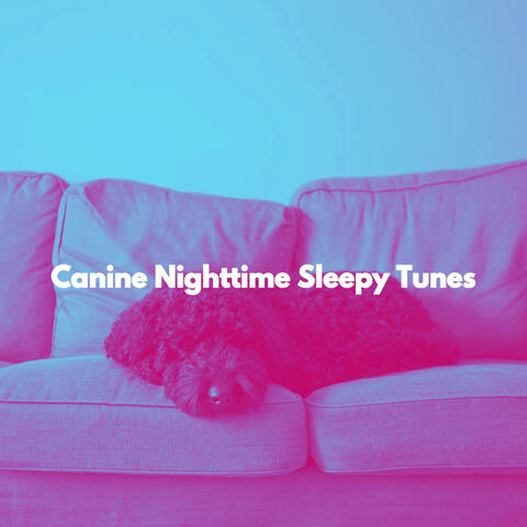 Canine Nighttime Sleepy Tunes