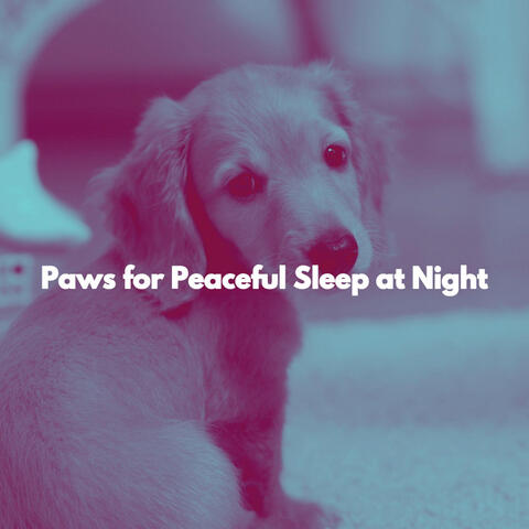 Paws for Peaceful Sleep at Night