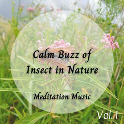 Absorbing Mood