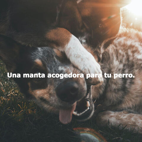Una manta acogedora para tu perro.