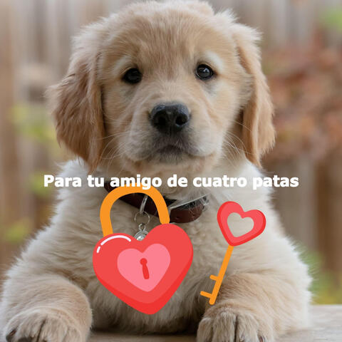 Para tu amigo de cuatro patas