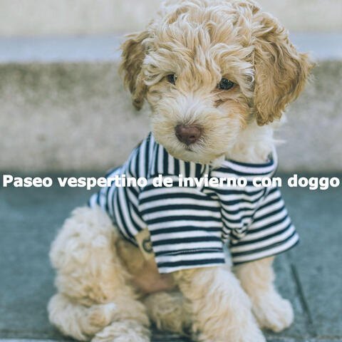 Paseo vespertino de invierno con doggo