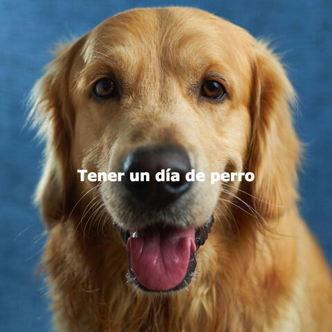 Tener un día de perro