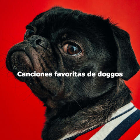 Canciones favoritas de doggos