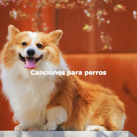 Canciones para perros