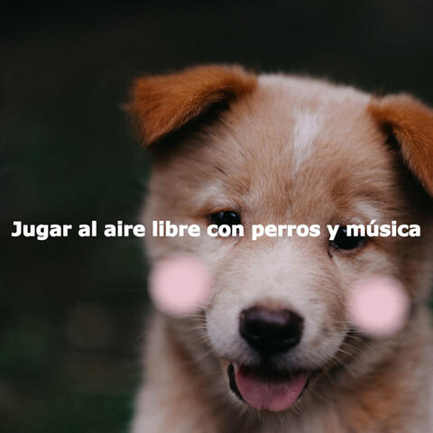 Jugar al aire libre con perros y música