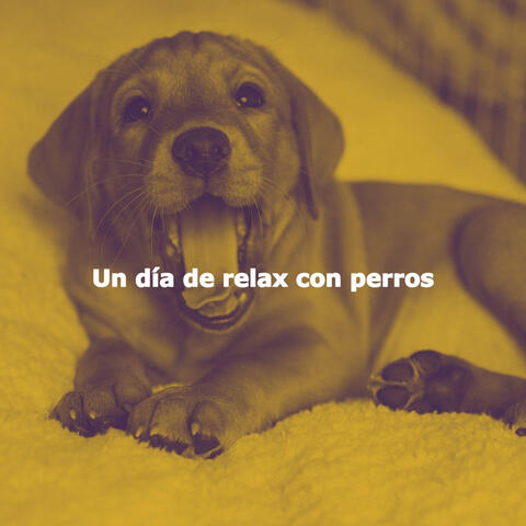 Un día de relax con perros