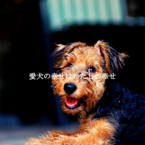 愛犬の幸せはわたしの幸せ