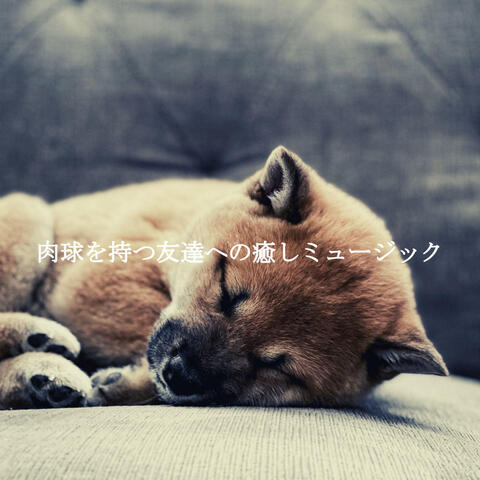 肉球を持つ友達への癒しミュージック