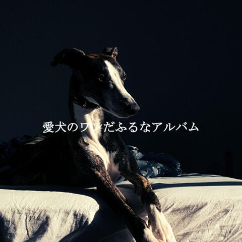愛犬のワンだふるなアルバム