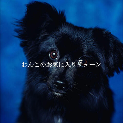わんこのお気に入りチューン